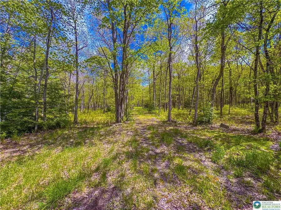 Lot 567 Cross Run Road, Jim Thorpe, PA 18229 - Image #3