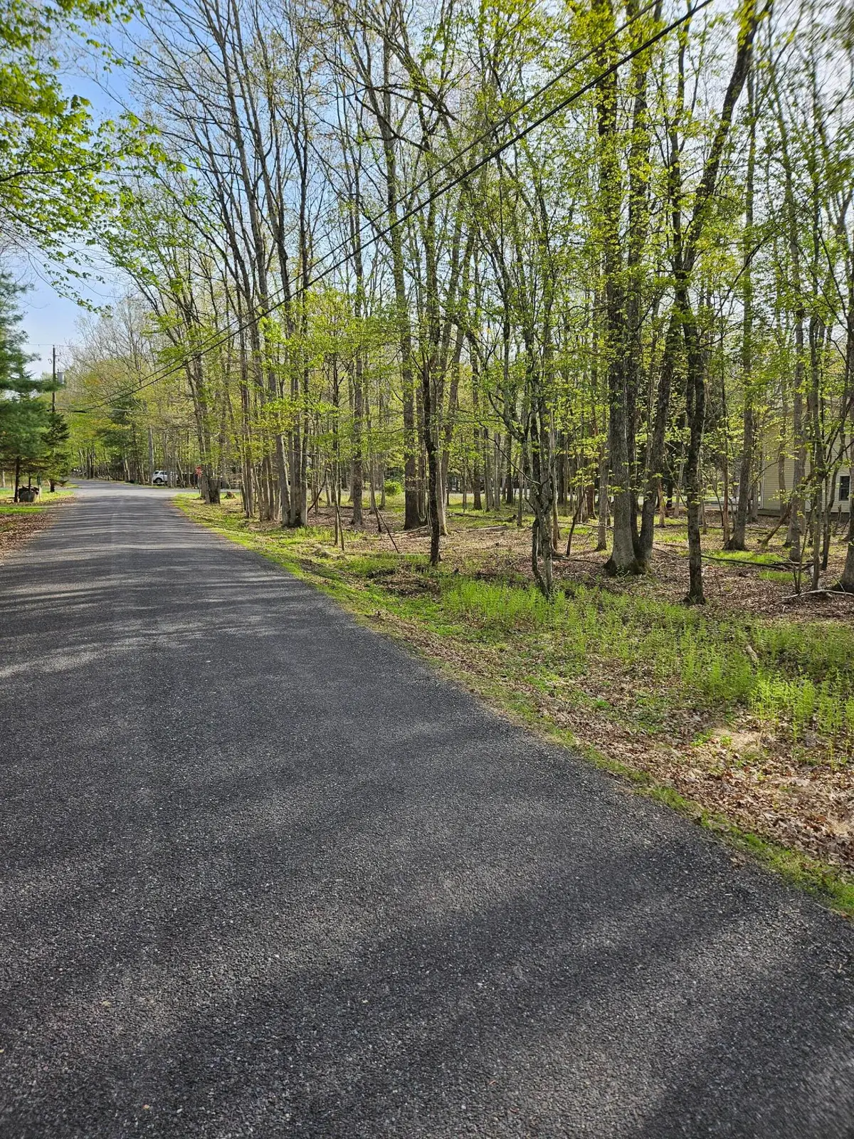 Towamensing Trail & Whitman Lane, Albrightsville, PA 18210 - Image #1