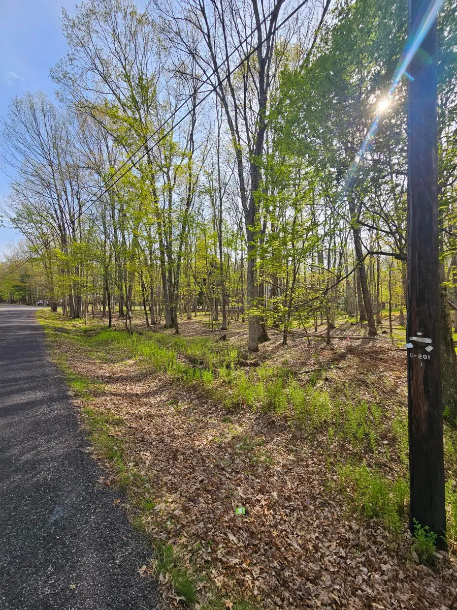 Towamensing Trail & Whitman Lane, Albrightsville, PA 18210 - Image #2
