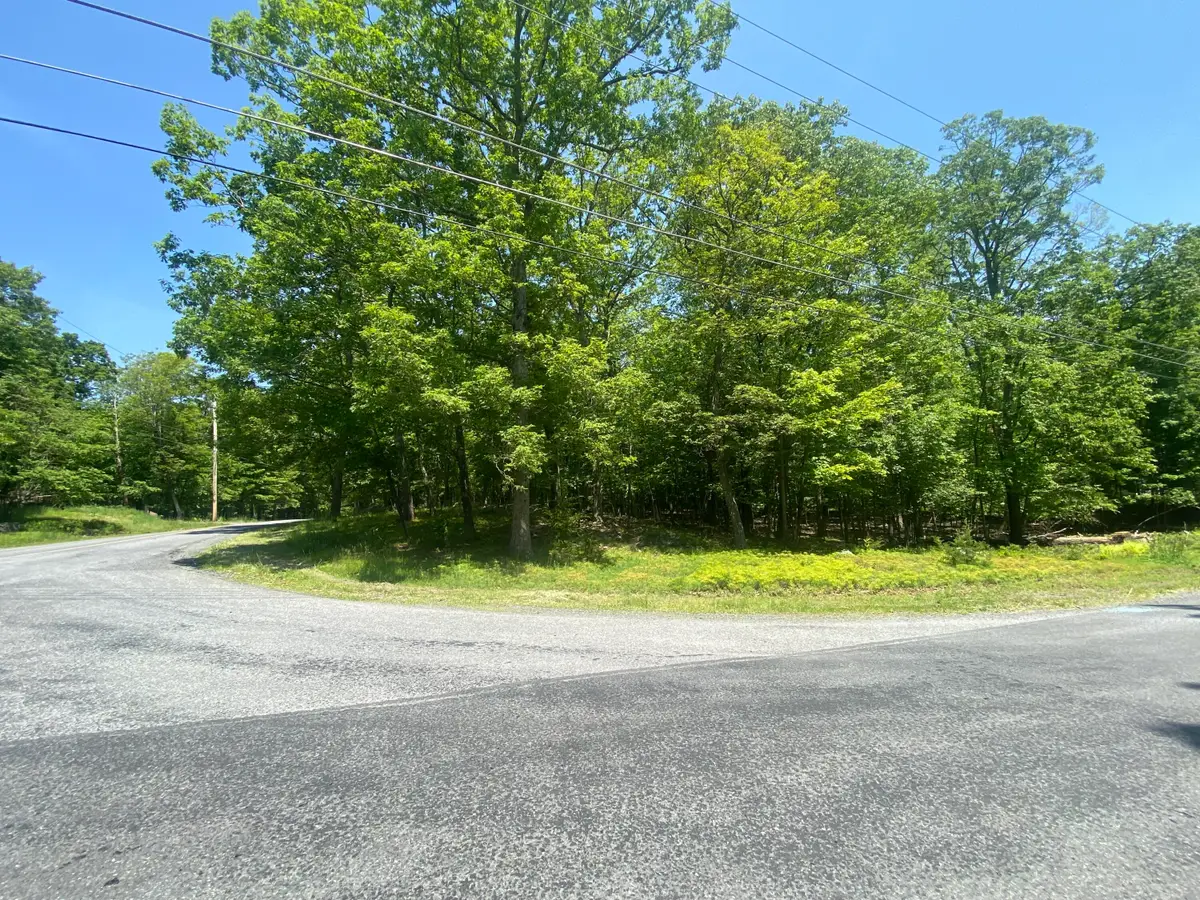 Lot 185, Bushkill, PA 18324 - Image #1