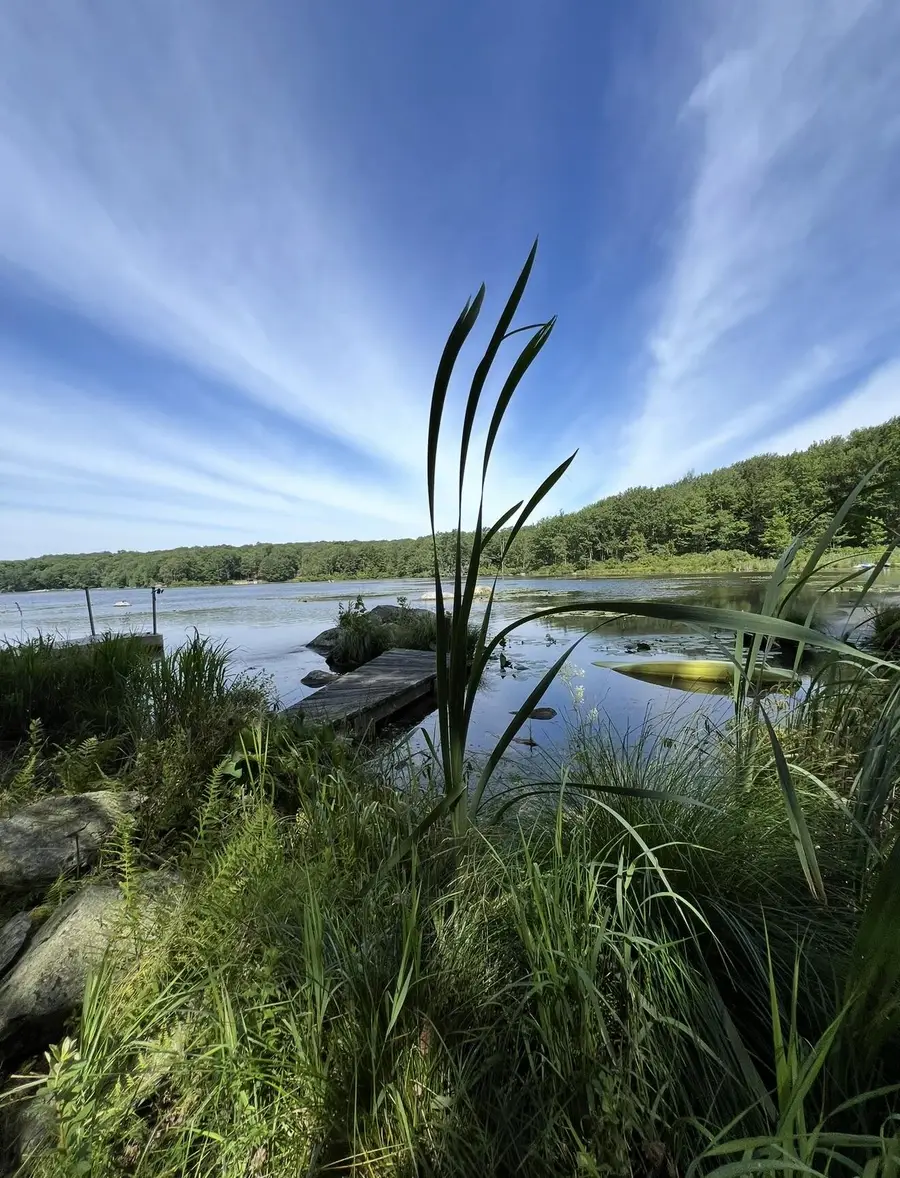 2335 Eagles View Drive, Clifton Township, PA 18424 - Image #2