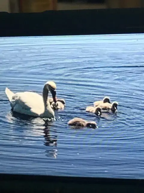 Highland Ter 7g, East Stroudsburg, PA 18301 - Image #3