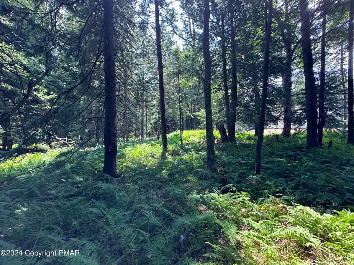 1127 Sawmill Rd 1127 Road, Pocono Lake, PA 18347 - Image #1