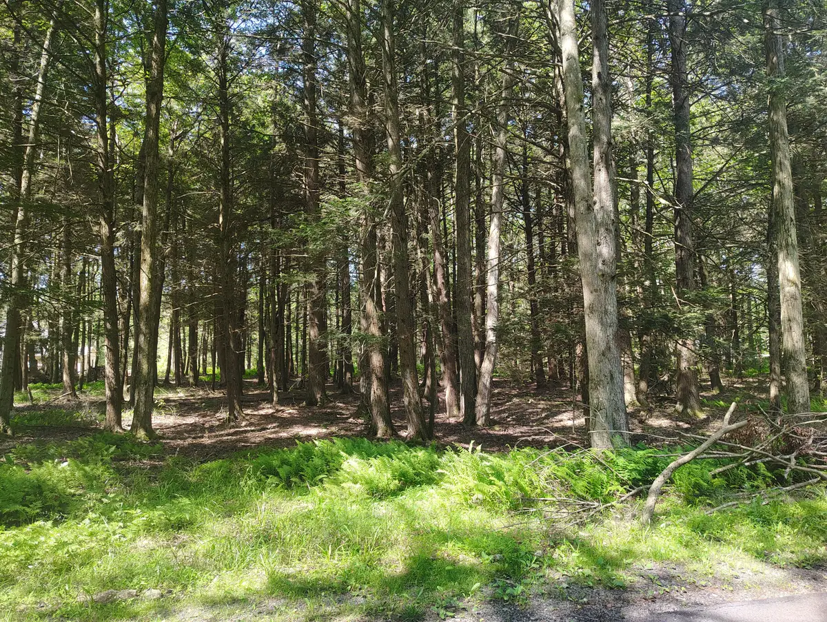 George Dr Drive, Pocono Lake, PA 18347 - Image #1