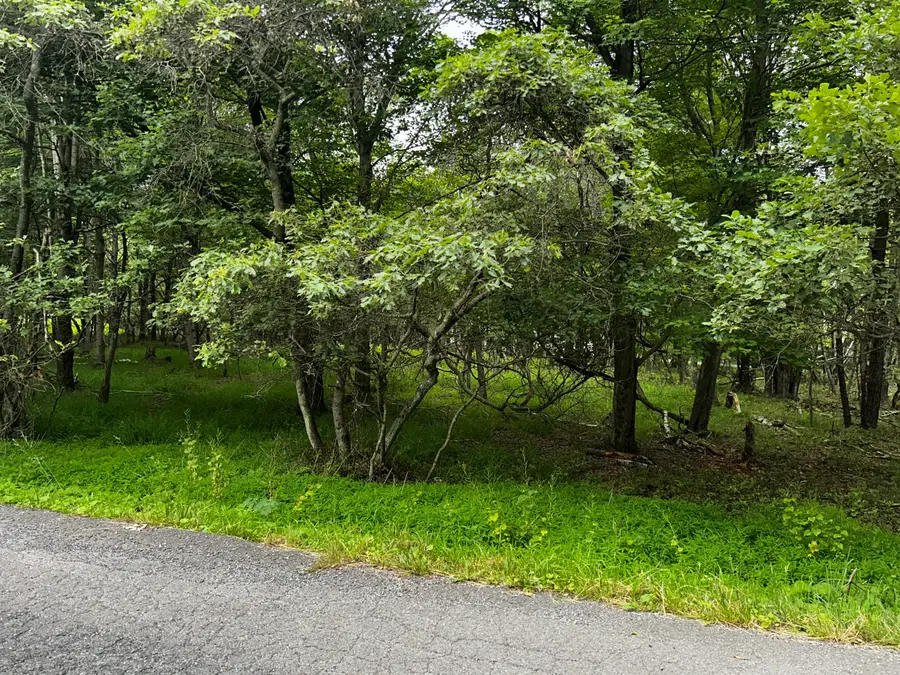 Lot EP1850 Chippewa Trail, Albrightsville, PA 18210 - Image #2