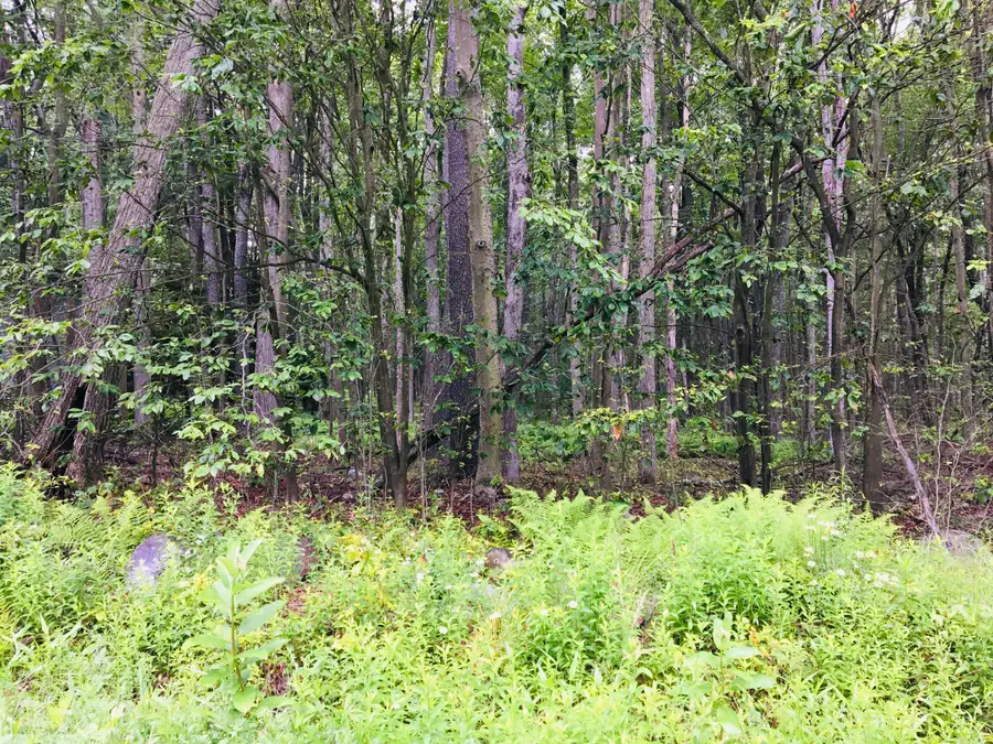 40 Gross Drive, Pocono Pines, PA 18350 - #3