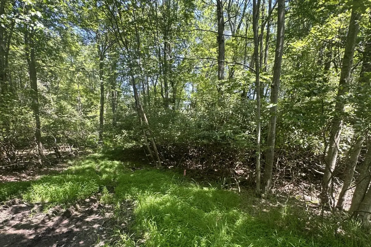 Lot 2 Tamarack Terrace, Pocono Summit, PA 18346 - Image #1
