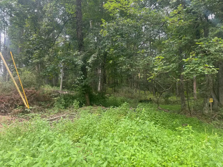 Seneca Way, Stroudsburg, PA 18360 - Image #3