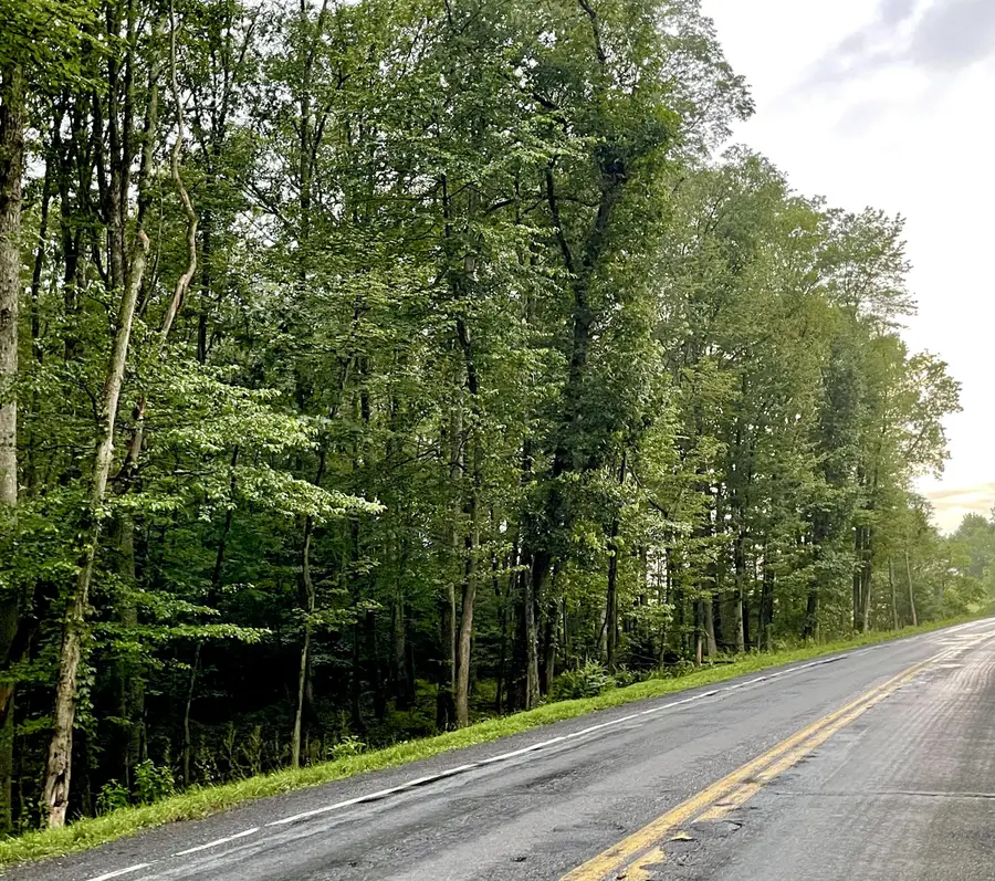 1 Lafayette Avenue, Tamaqua, PA 18252 - Image #2