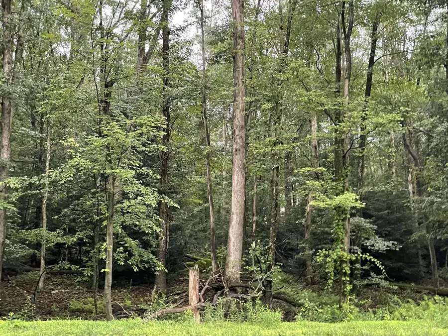 1 Lafayette Avenue, Tamaqua, PA 18252 - Image #3