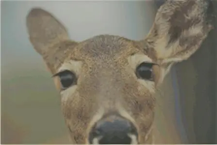 123 Eagles View Drive, Clifton Township, PA 18424