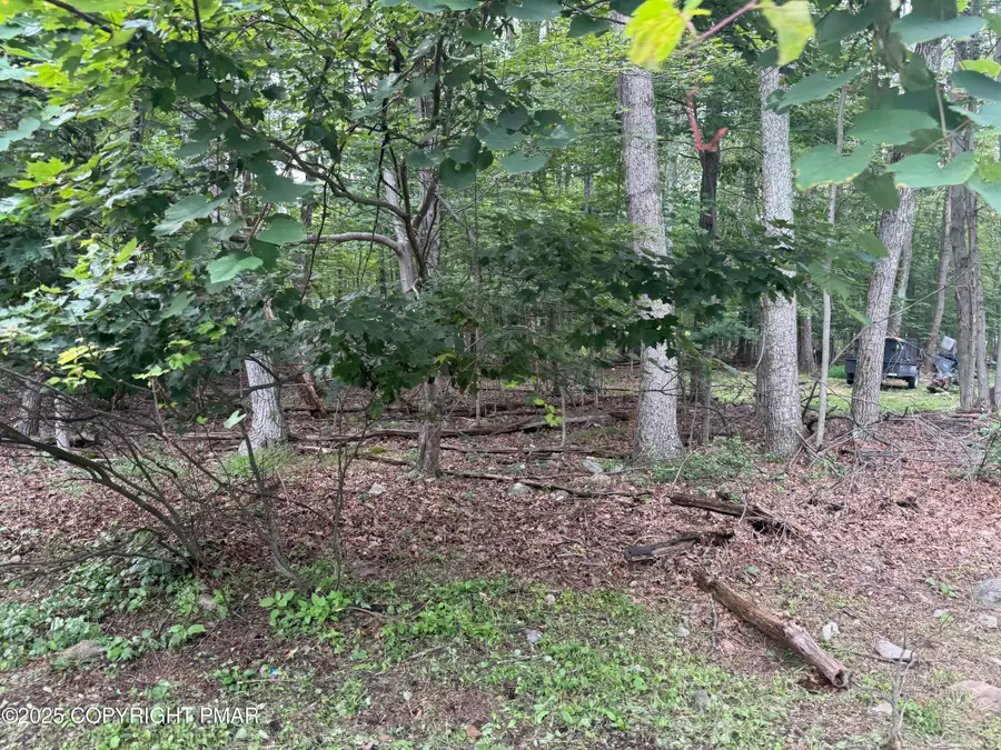 Poplar Ln 33 Lane, Kunkletown, PA 18058 - Image #3