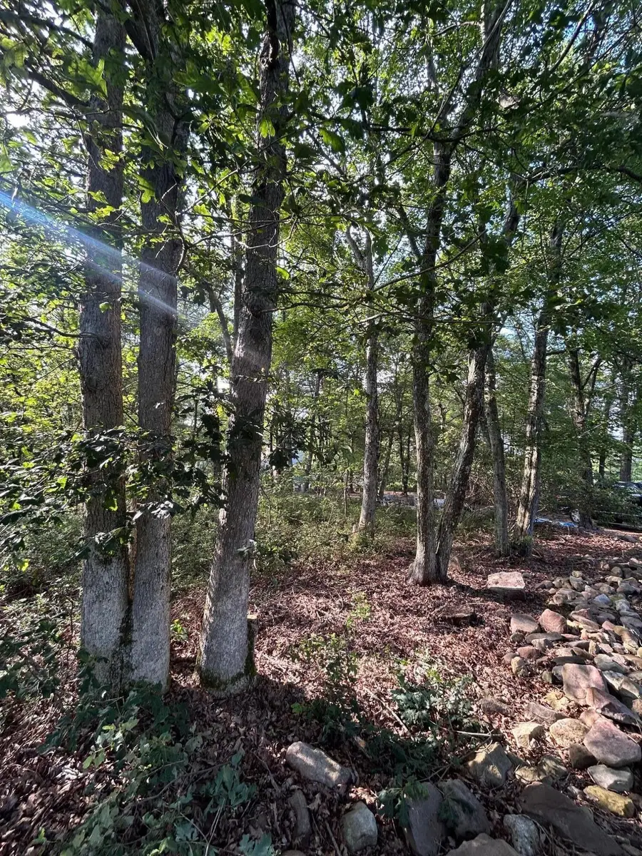 Lot F534 Pinoak Drive, Jim Thorpe, PA 18229 - Image #2