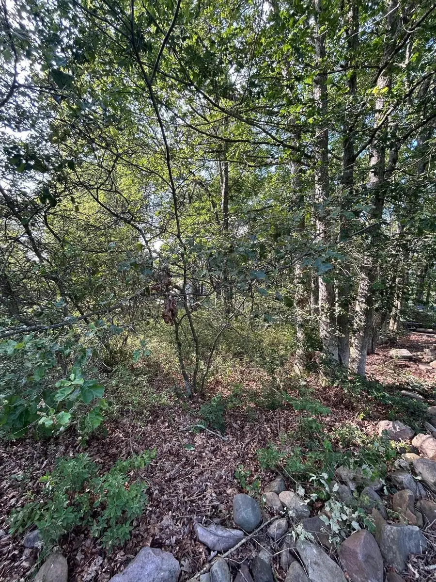 Lot F534 Pinoak Drive, Jim Thorpe, PA 18229 - Image #3