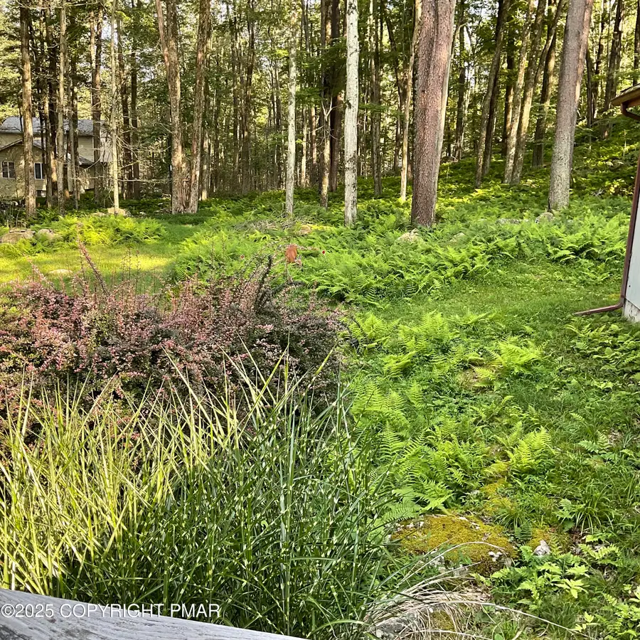 207 Pima Place, Pocono Lake, PA 18347 - Image #3