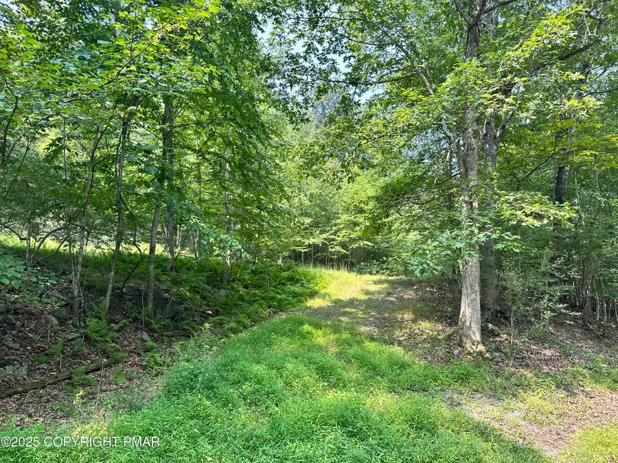 Timber Hill Rd 3c, Henryville, PA 18332 - Image #3