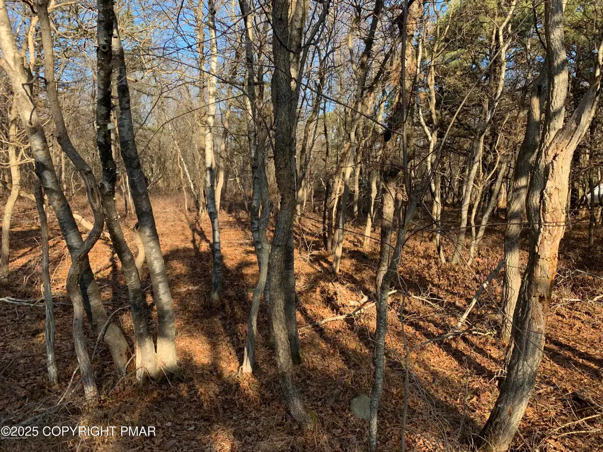 1491 Chippewa Trail, Albrightsville, PA 18210 - Image #1