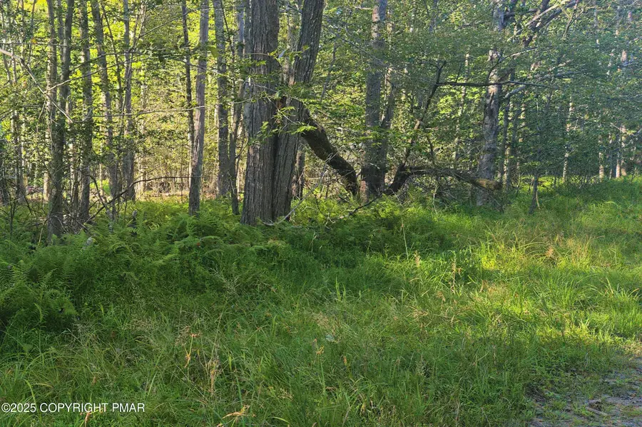 260 Pontiac Path, Pocono Lake, PA 18347 - Image #2