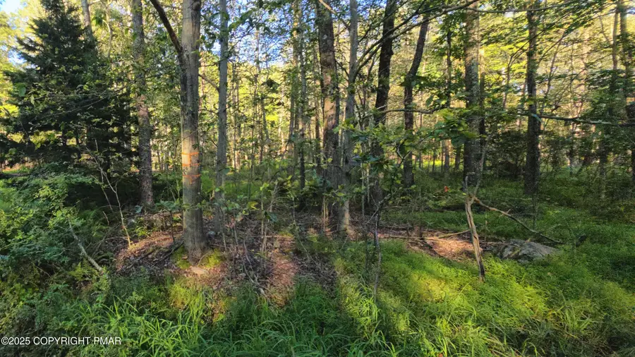 260 Pontiac Path, Pocono Lake, PA 18347 - Image #3