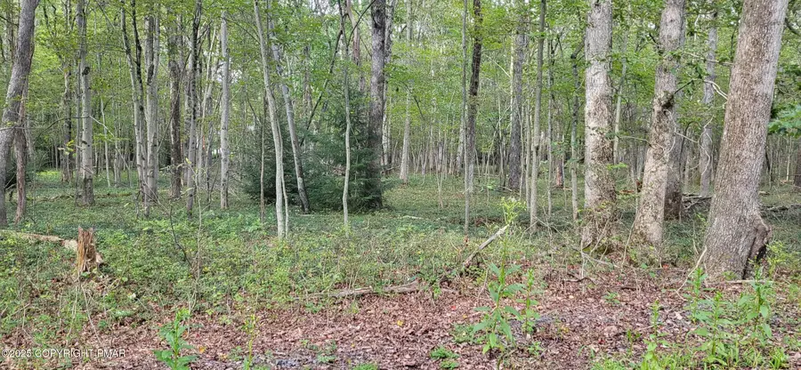 Poplar Lane, Jim Thorpe, PA 18229 - Image #2