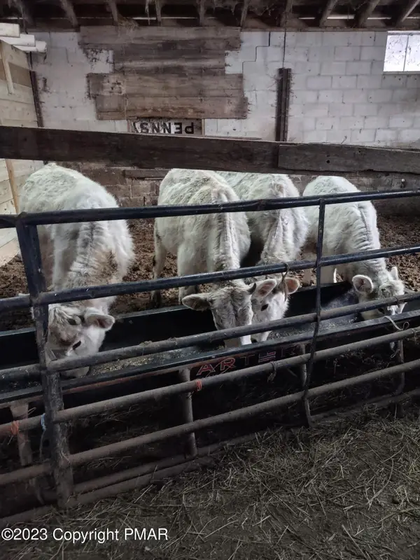 67 E Sterling Road, Newfoundland, PA 18445