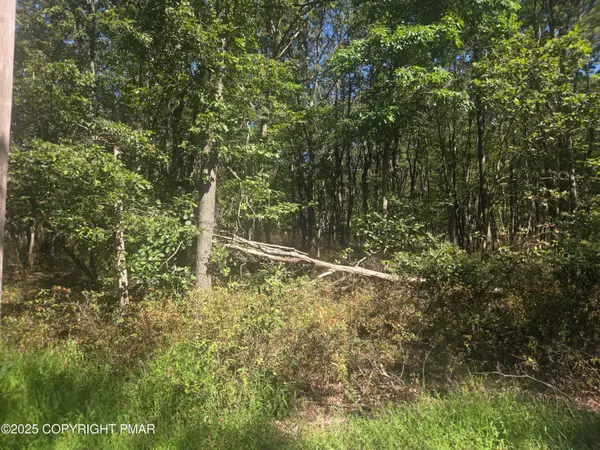 0 Ute Trail, Albrightsville, PA 18210