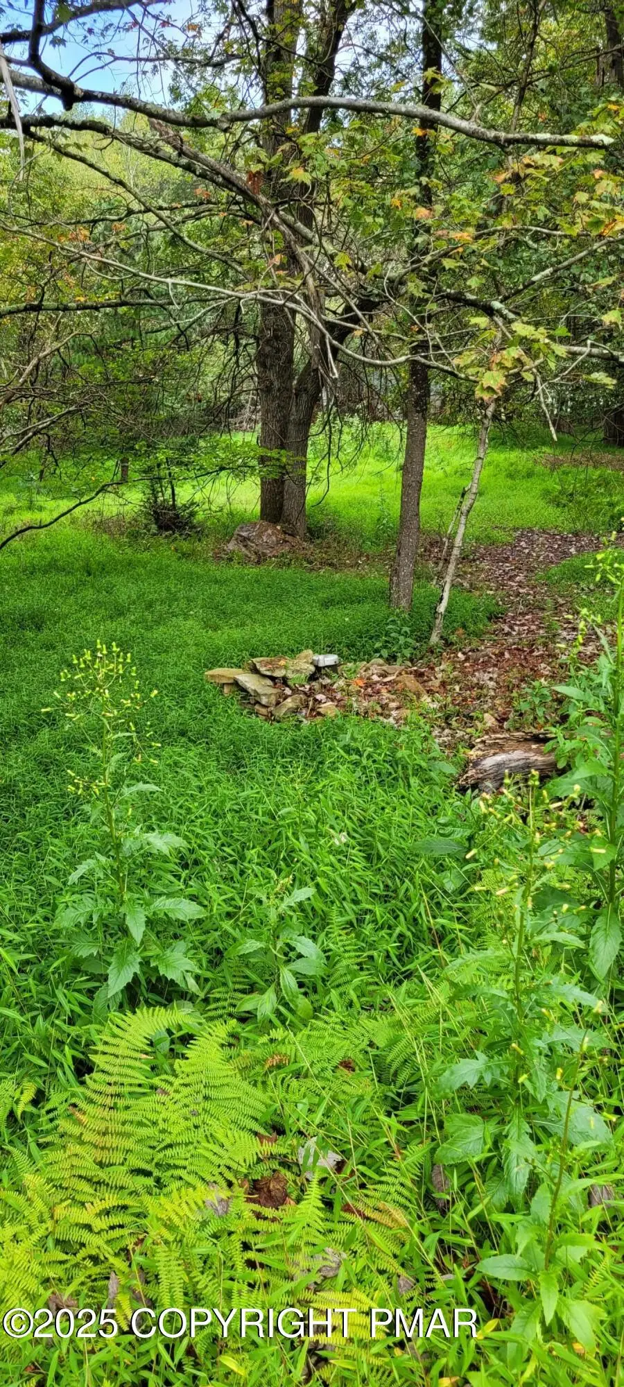 EV1305 Lipo Way, Albrightsville, PA 18210 - Image #2