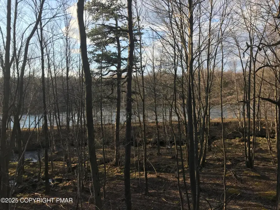 Lot 119 Mountain Rd, Albrightsville, PA 18210 - Image #2