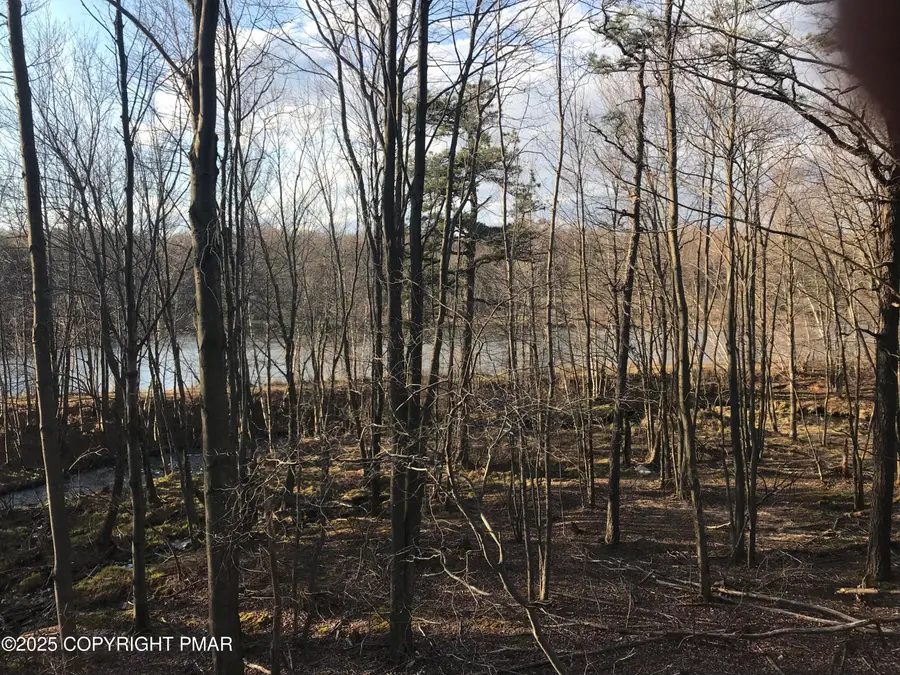 Lot 119 Mountain Rd, Albrightsville, PA 18210 - Image #3