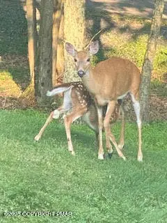 Lot 14  & 15 Pocono Mountain Lake Drive, Bushkill, PA 18324 - Image #1