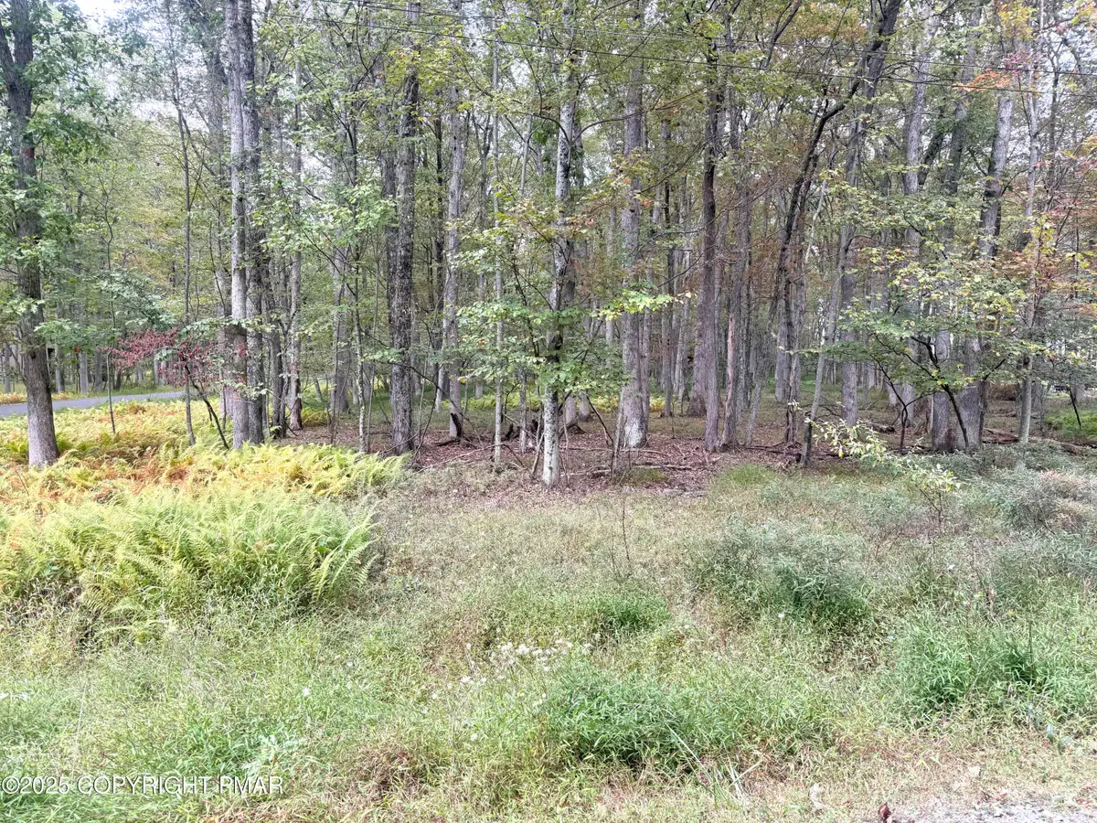 Willow Drive, Jim Thorpe, PA 18229 - Image #1