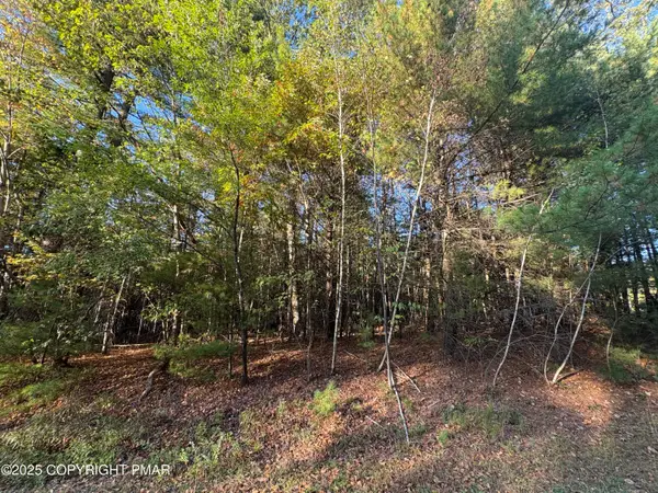 Lot 13 Pine Tree Lane, Kunkletown, PA 18058