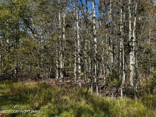 Red Spruce Road, Pocono Pines, PA 18350