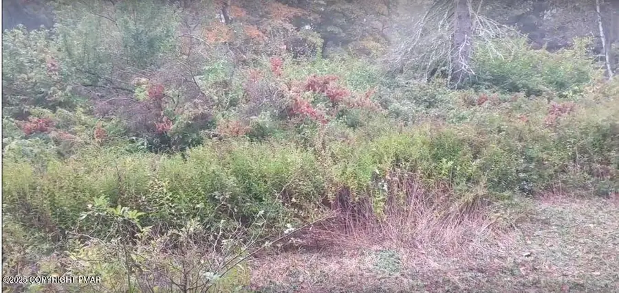 940 Pa, Pocono Lake, PA 18347 - Image #2