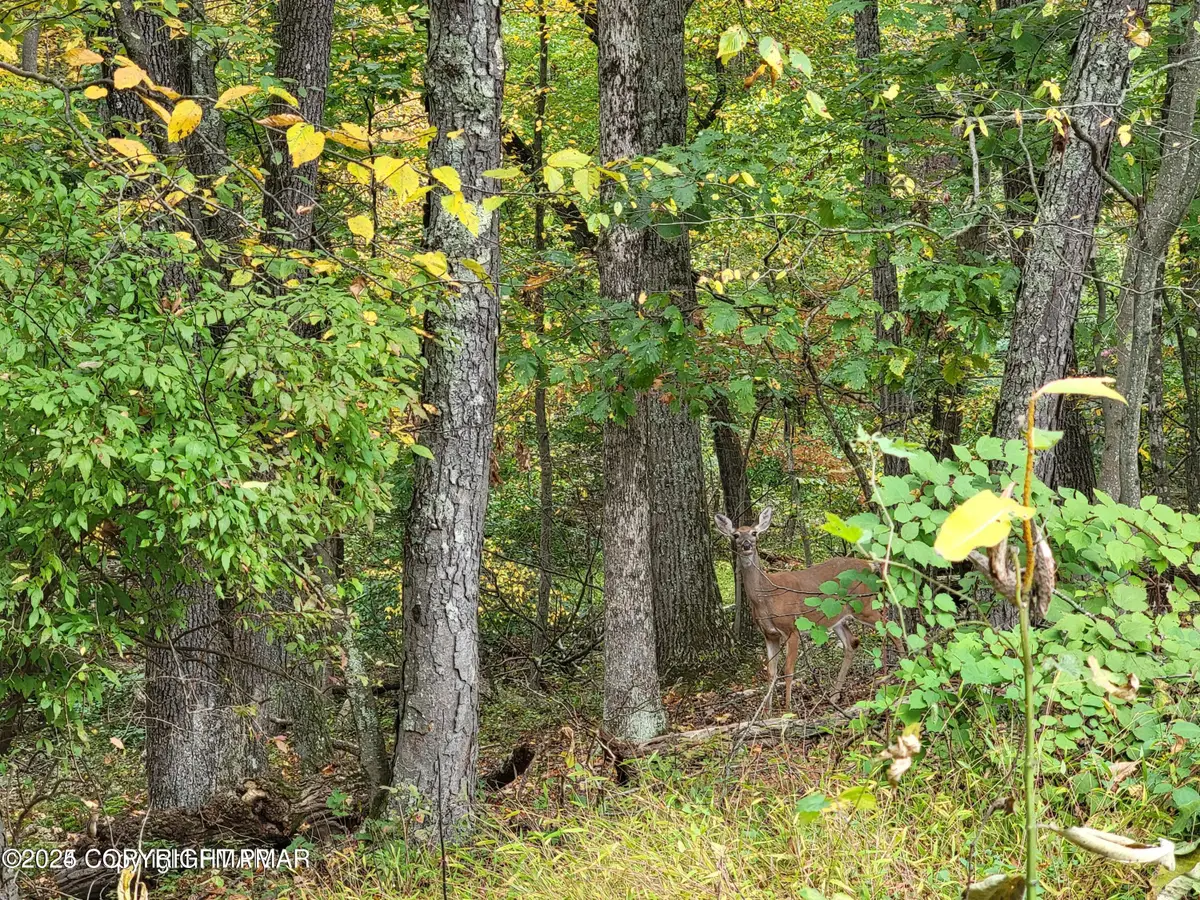 17 Summit Drive, East Stroudsburg, PA 18302 - Image #1