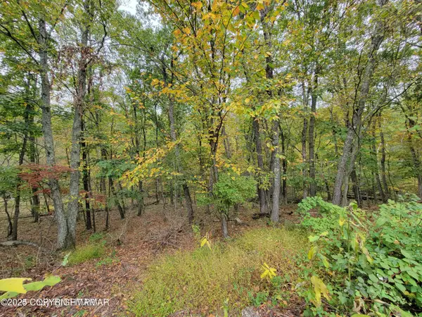 16 & 17 Summit Dr Drive, East Stroudsburg, PA 18302