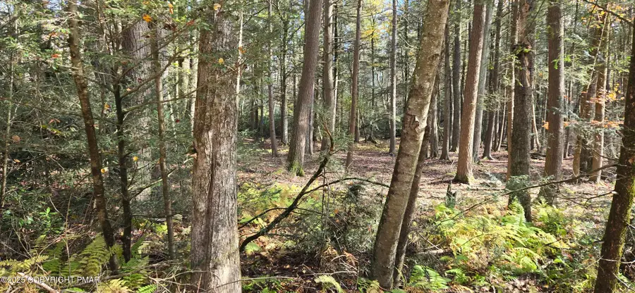 C830 & C83 Lakeside Lane, Albrightsville, PA 18210 - Image #2