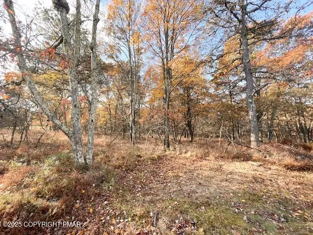 491 Mallard Lane, Bushkill, PA 18324 - Image #3