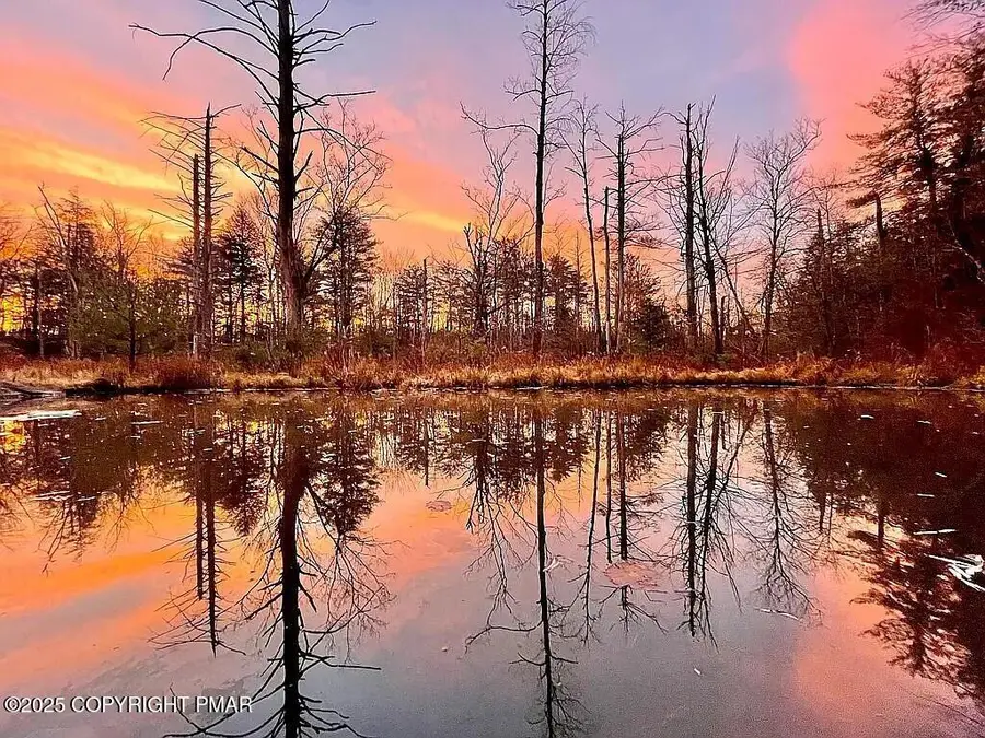 794 Clifton Beach Road, Clifton Township, PA 18424 - Image #3