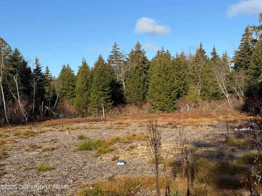 12 Laurel View Ln, Tobyhanna, PA 18466 - Image #2