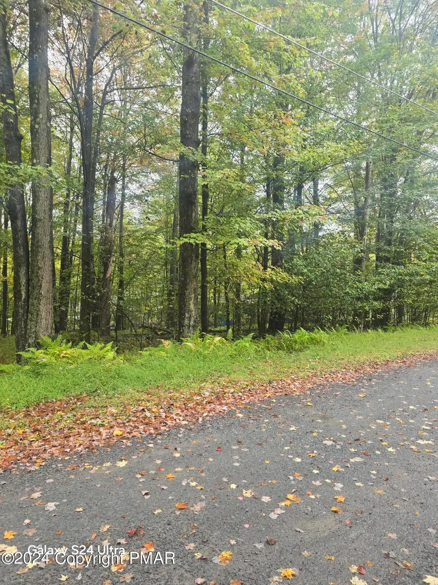 10 Comanche Trail, Pocono Lake, PA 18347 - Image #2