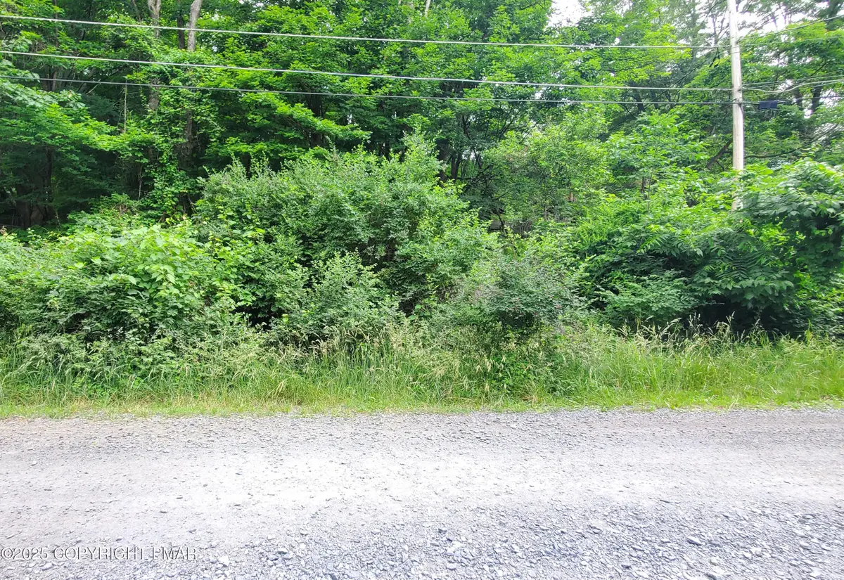 180 Stony Hollow Circle, Bushkill, PA 18324 - #1