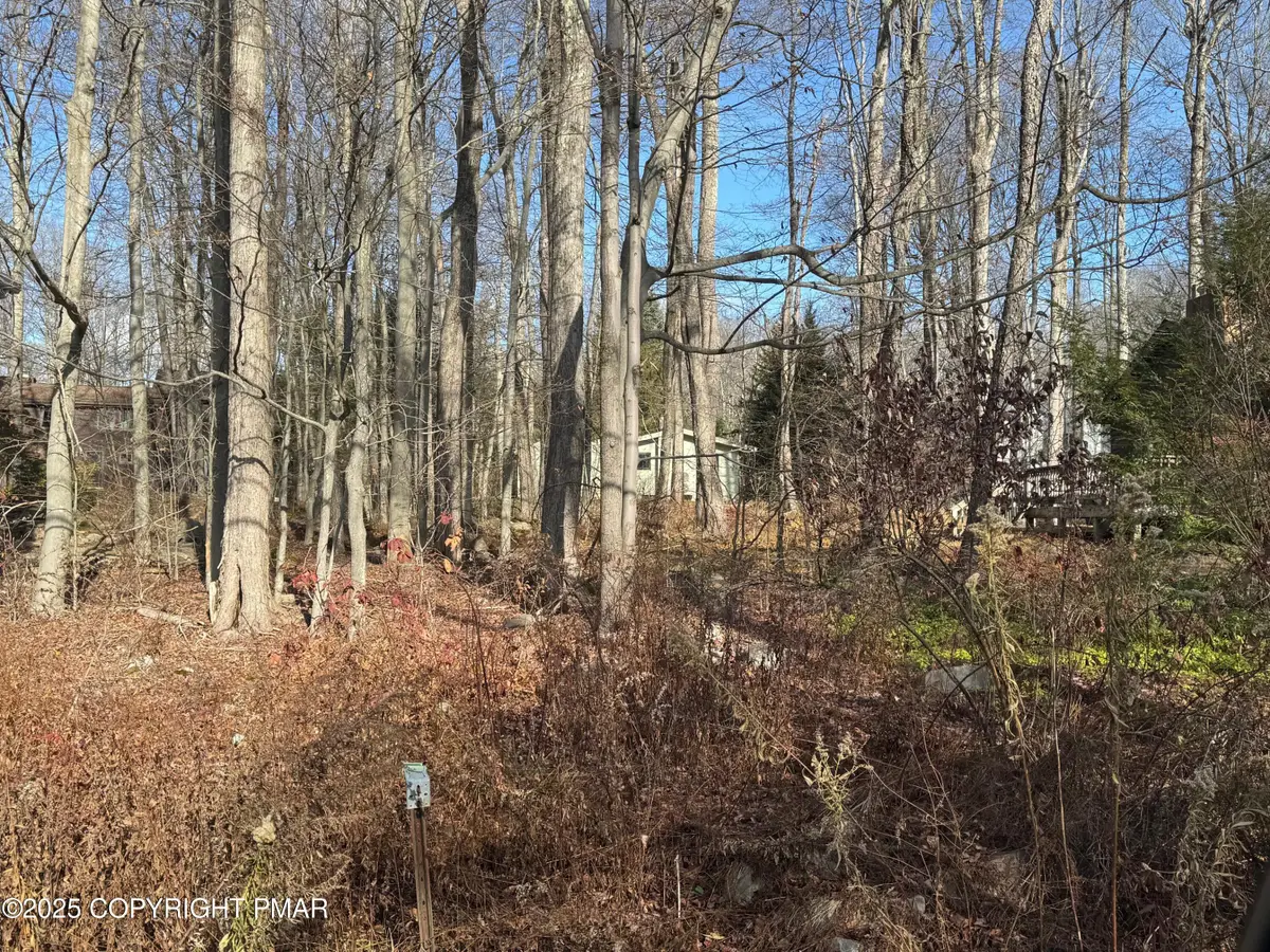 Lot 116 T 532 116, Pocono Pines, PA 18350 - #1