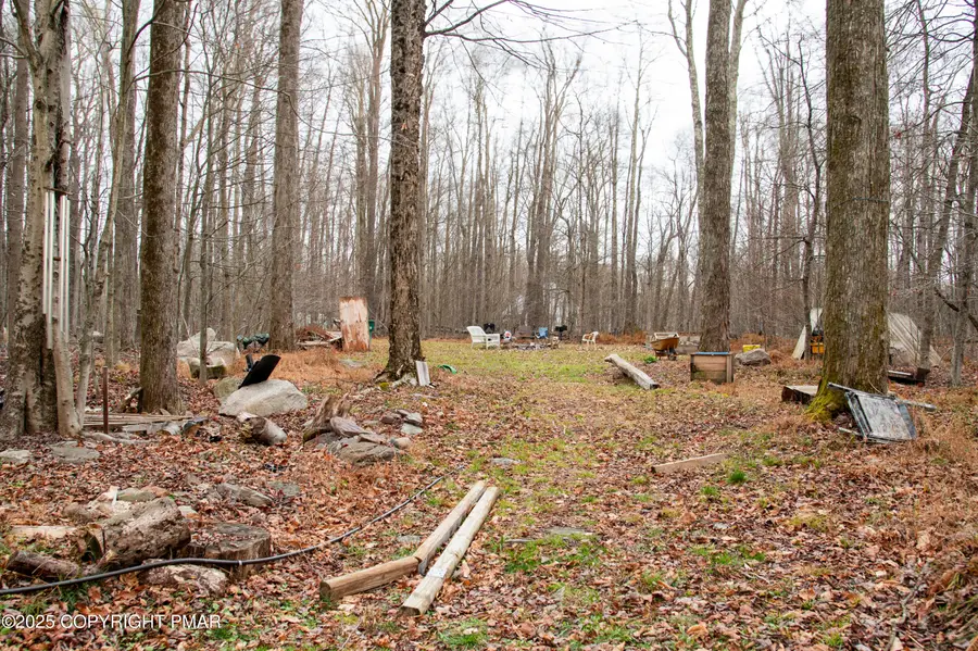 2219 Maple Leaf Court, Pocono Lake, PA 18347 - Image #2