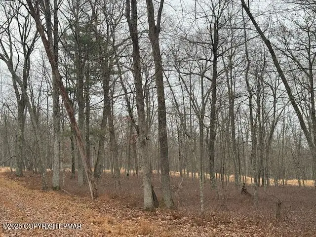 Chippewa Court Lots 72 & 73, Hawley, PA 18428 - Image #1