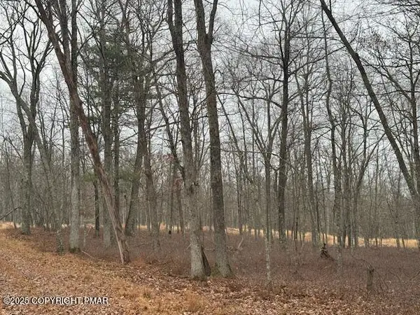 Chippewa Court Lots 72 & 73, Hawley, PA 18428