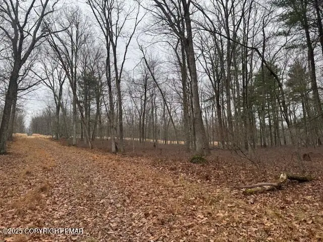 Chippewa Court Lots 72 & 73, Hawley, PA 18428 - Image #2