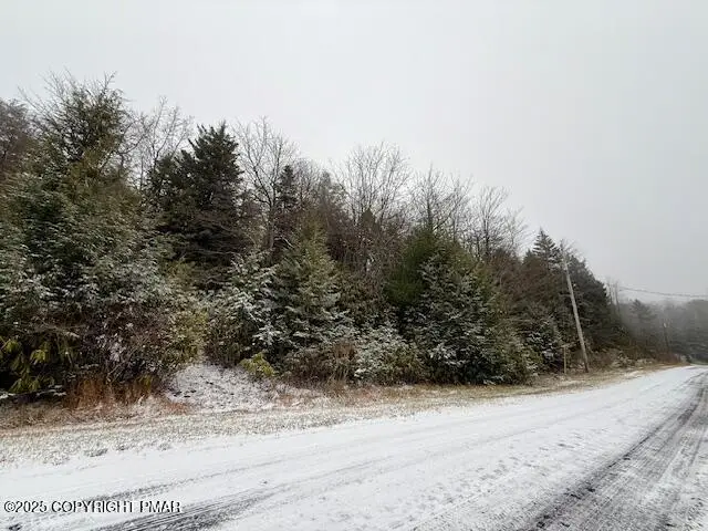Lot 102 Minsi Trail W, Long Pond, PA 18334 - #1