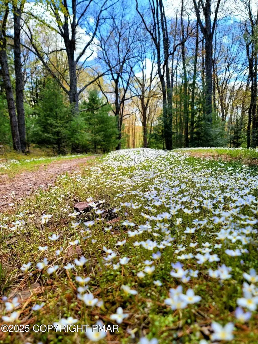 614 Graystones Jeras Lot Av-4 Road, Albrightsville, PA 18210 - Image #2