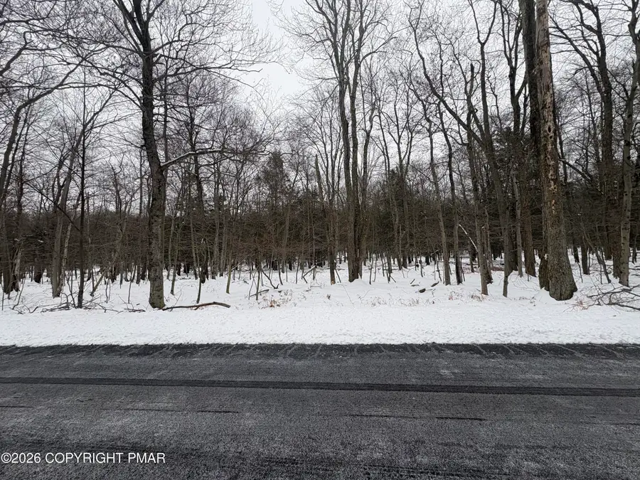 8 Shadylane Drive, Newfoundland, PA 18445 - Image #2